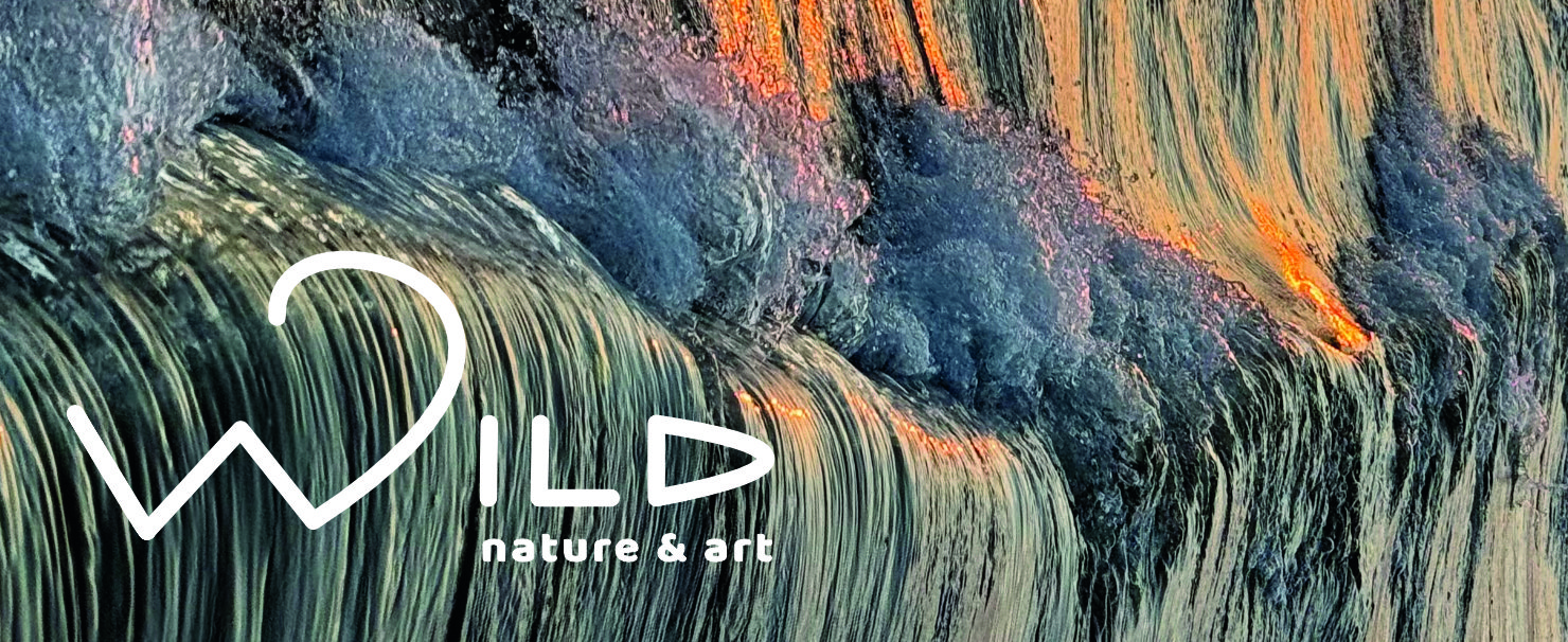 Upside down wave with sunset reflections