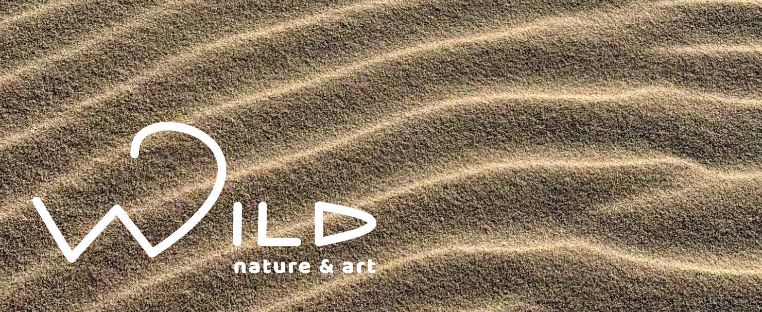 rippled beach sand plus WILD logo